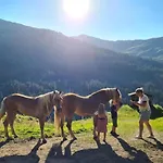 Brixnerhof Im Zillertal בית הארחה 3*