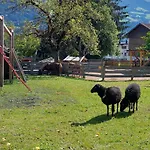 בית הארחה Brixnerhof Im Zillertal 3*
