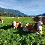 Brixnerhof Im Zillertal