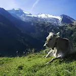 Brixnerhof Im Zillertal 3*
