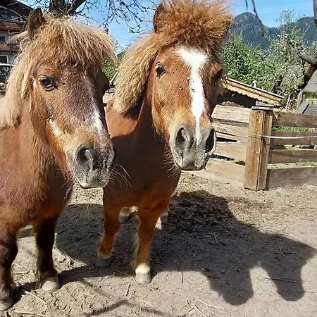 Brixnerhof Im Zillertal 3*
