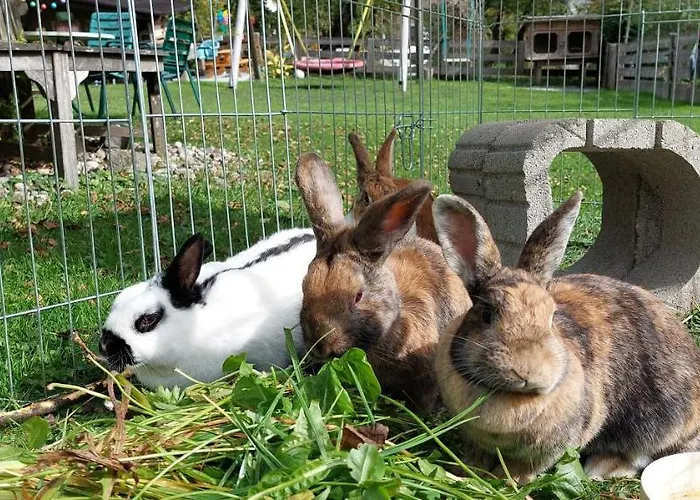 Penzion Brixnerhof Im Zillertal Schlitters