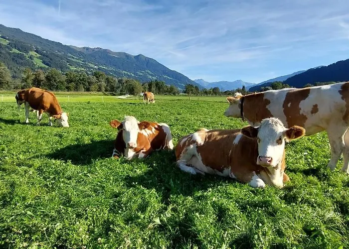 Brixnerhof Im Zillertal