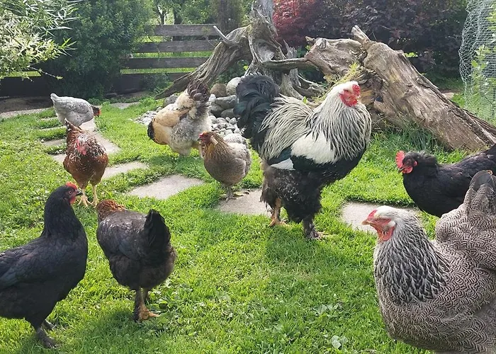 Brixnerhof Im Zillertal Penzion 3*