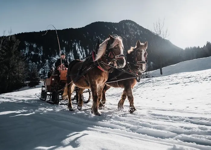 Brixnerhof Im Zillertal بيت ضيافة 3*