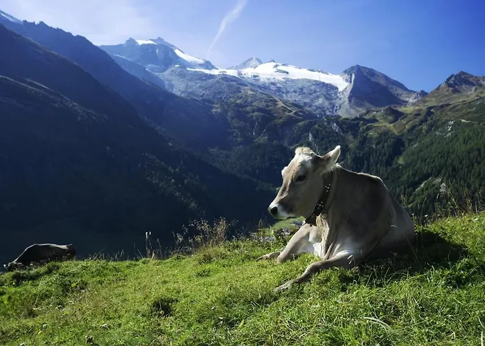 Brixnerhof Im Zillertal 3*