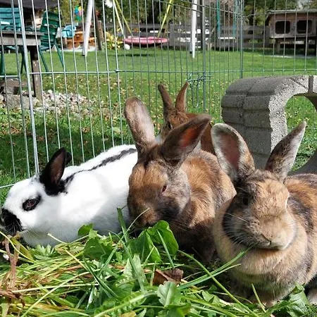 Guest house Brixnerhof Im Zillertal Schlitters