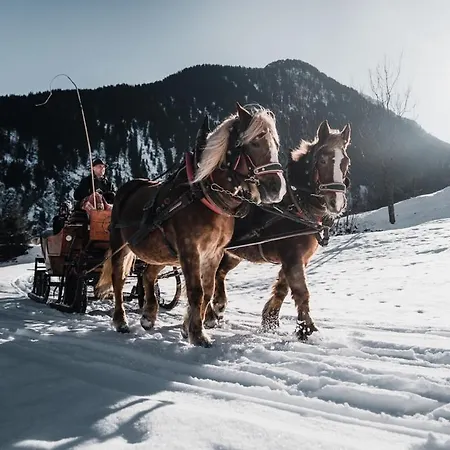 Brixnerhof Im Zillertal Penzion 3*