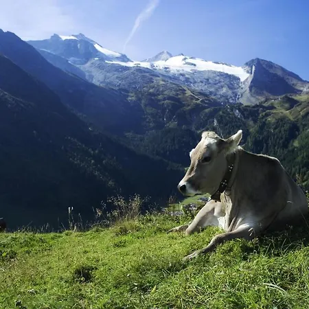 Brixnerhof Im Zillertal 3*